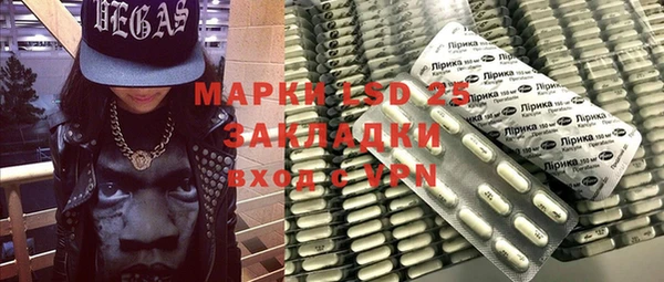 ГАЛЛЮЦИНОГЕННЫЕ ГРИБЫ Аркадак