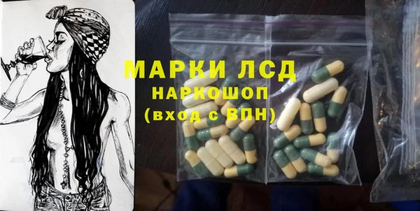 ГАЛЛЮЦИНОГЕННЫЕ ГРИБЫ Аркадак