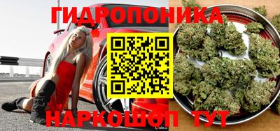 прущие крисы Волжск