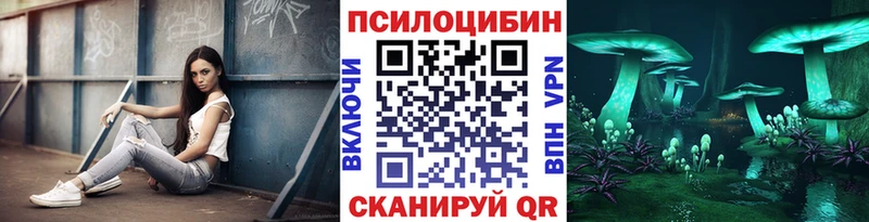Псилоцибиновые грибы Psilocybe  купить наркотики цена  mega маркетплейс  Волхов 