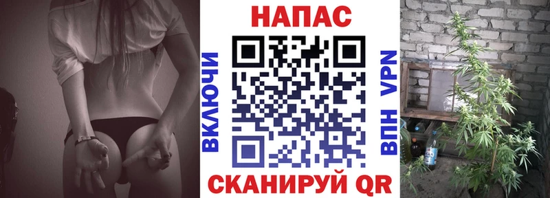 МАРИХУАНА ГИДРОПОН  купить закладку  Волхов 